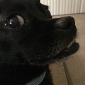 Meet your Posher, Laura